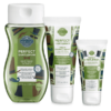 Scentsy Perfect Gentleman Body Bundle | Scentsy Father’s Day 2021 | Incandescent.Scentsy.us