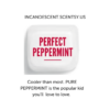 PERFECT PEPPERMINT SCENTSY FRAGRANCE | Perfect Peppermint Scentsy Bar PERFECT PEPPERMINT SCENTSY FRAGRANCE | Perfect Peppermint Scentsy Bar