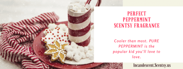  SCENTSY perfect peppermint WARMER WAX : Home & Kitchen