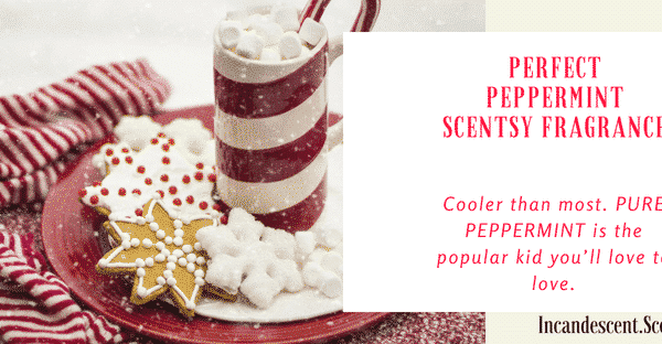 Perfect Peppermint Scentsy Bar