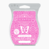 PINK SUGARBERRY MINT SCENTSY BAR