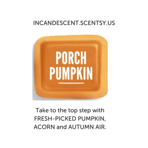 Porch Pumpkin Scentsy Fragrance (1) PORCH PUMPKIN SCENTSY BAR