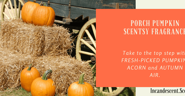 PORCH PUMPKIN SCENTSY SCENT CIRCLE