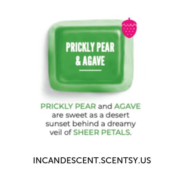 Prickly Pear and Agave Scentsy Bar