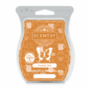 PUMPKIN CHAI SCENTSY BAR