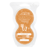 PUMPKIN CHAI SCENTSY GO POD