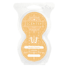 PUMPKIN TIRAMISU SCENTSY PODS | HARVEST 2020