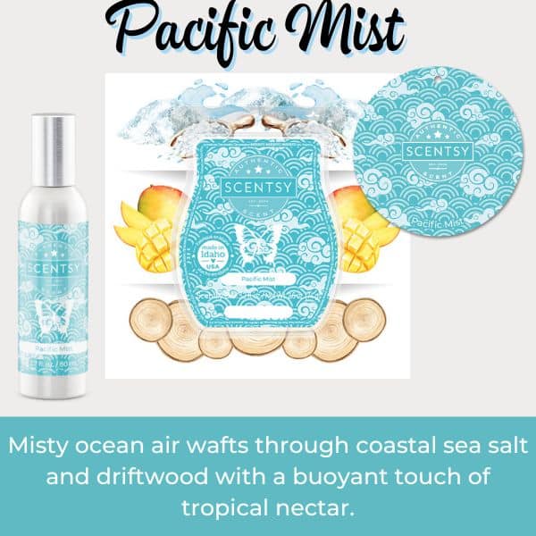 Pacific Mist Scentsy Fragrance Pacific Mist Scentsy Fragrance