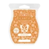 Painted Leaves Scentsy Bar