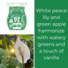 Peace (Lily) Be With You Scentsy Room Spray
