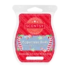 Peppermint Rush Scentsy Bar | Scents of the Season 2023