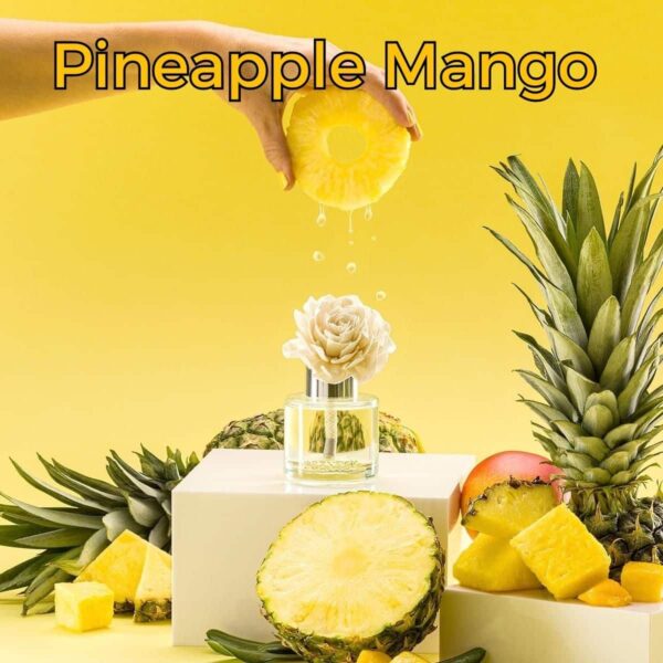 Pineapple Mango Pineapple Mango