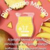Pineapple Mango Scentsy Bar