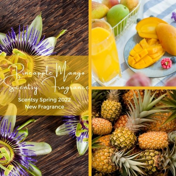 Pineapple Mango Scentsy Fragrance 600 x 600 px