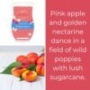 Pink Apple & Nectarine Scentsy Brick
