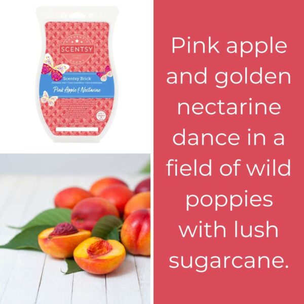 Pink Apple Nectarine Scentsy Brick