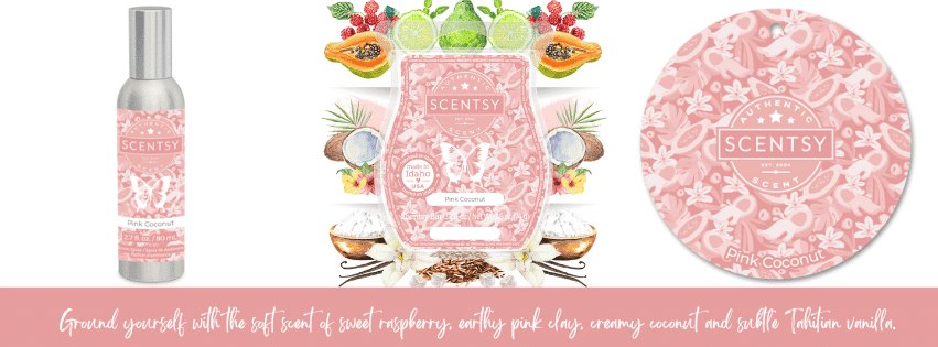 Pink Coconut Scentsy Bar | February 2023