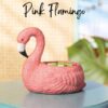 Pink Flamingo