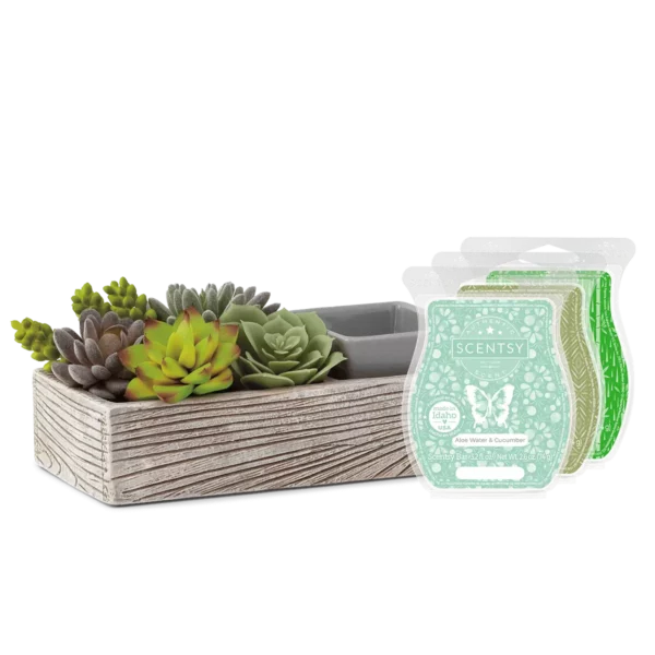Plant Appreciation Day Scentsy Warmer Bundle | Suc-cute-lent