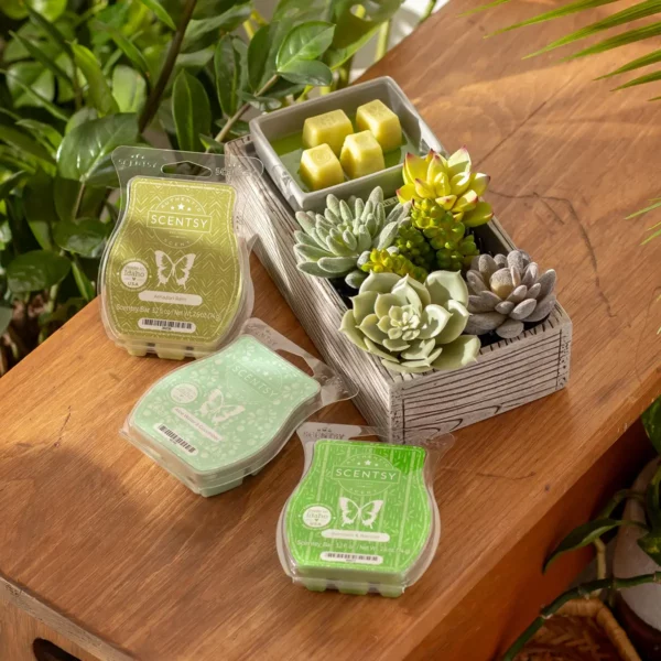 Plant Appreciation Day Scentsy Warmer Bundle | Suc-cute-lent