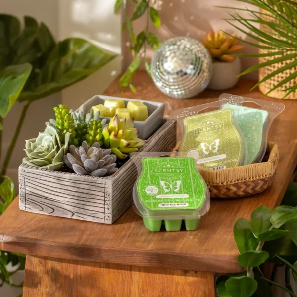 Plant Appreciation Day Scentsy Warmer Bundle | Suc-cute-lent
