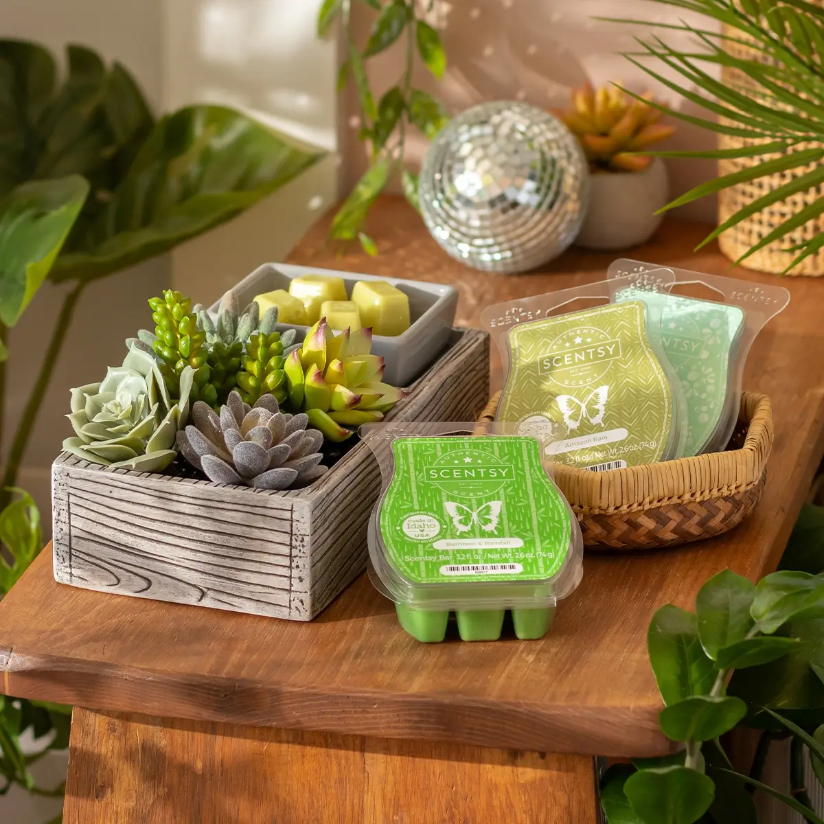 Plant Appreciation Day Scentsy Warmer Bundle | Suc-cute-lent
