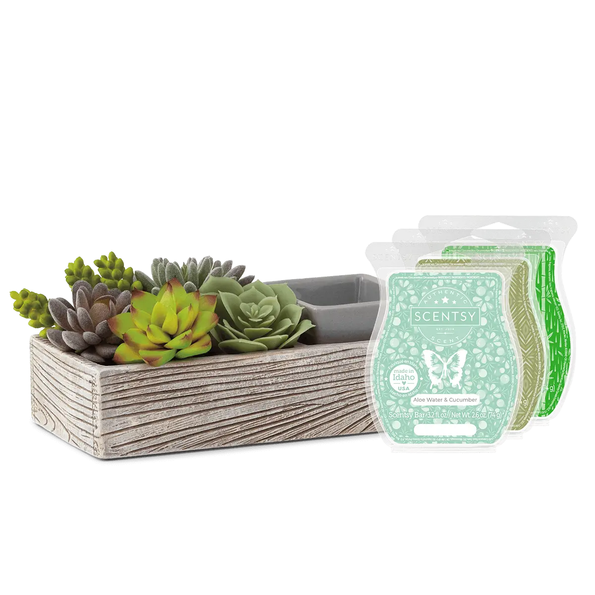 Plant Appreciation Day Scentsy Warmer Bundle | Suc-cute-lent