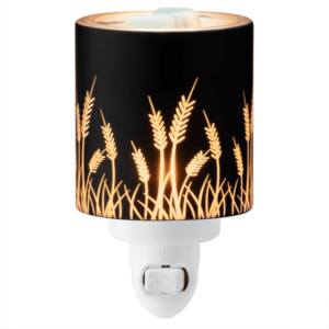 What is a Scentsy Warmer? Get started!