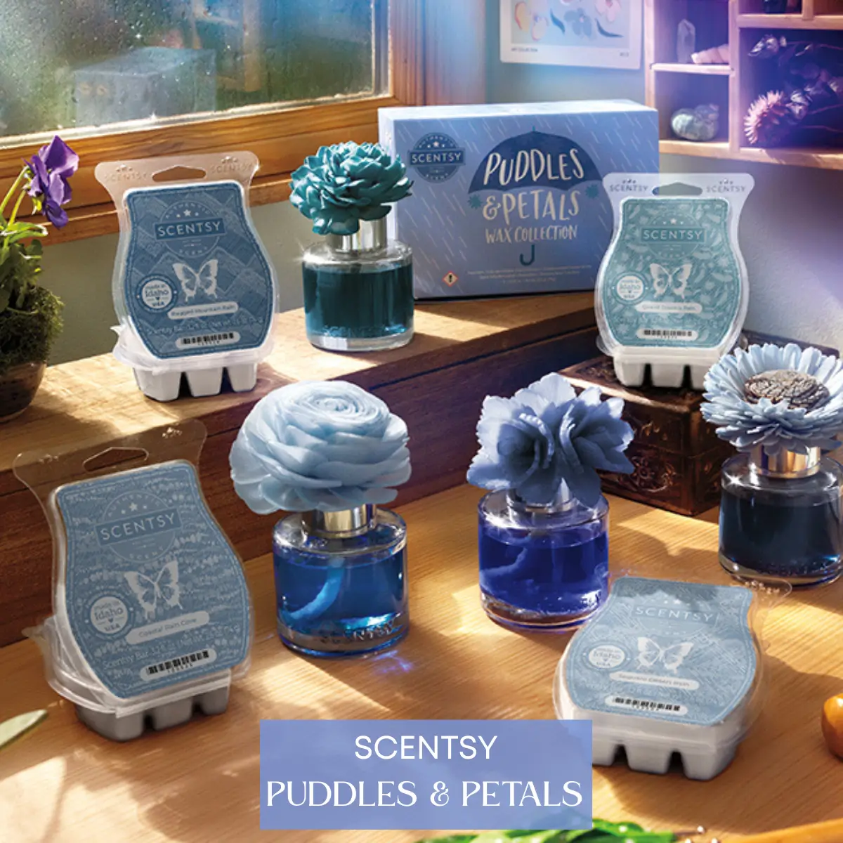 Scentsy Puddles & Petals Wax & Flower Collection | Shop Now