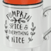 Pumpkin Spice Everything Nice Mini Scentsy Warmer 3