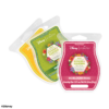EPCOT® International Flower & Garden Festival: Blossoms of Fragrance – Scentsy Wax Collection
