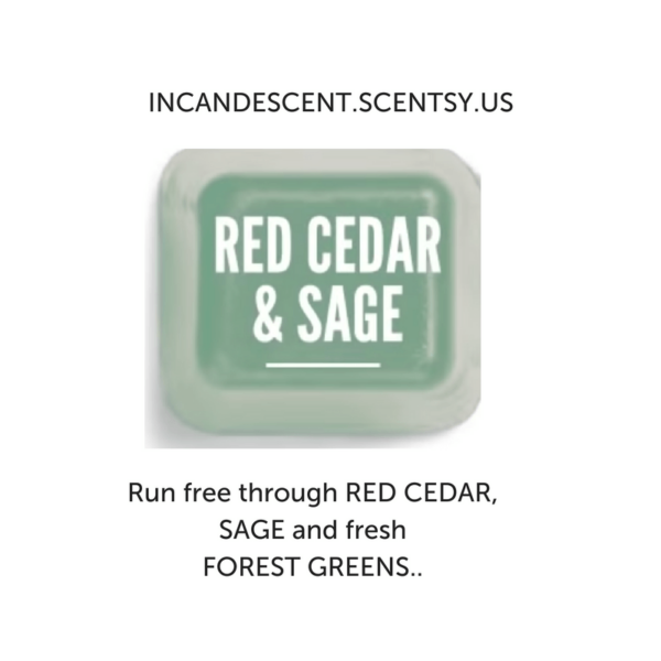 RED CEDAR AND SAGE SCENTSY SCENT CIRCLE