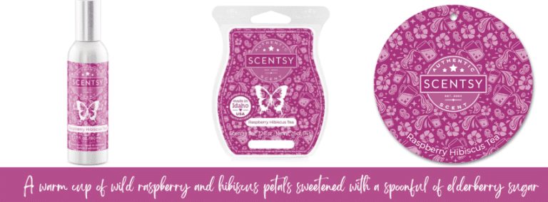 Raspberry Hibiscus Tea Scentsy Bar