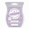 SALTED LAVENDER SCENTSY BAR