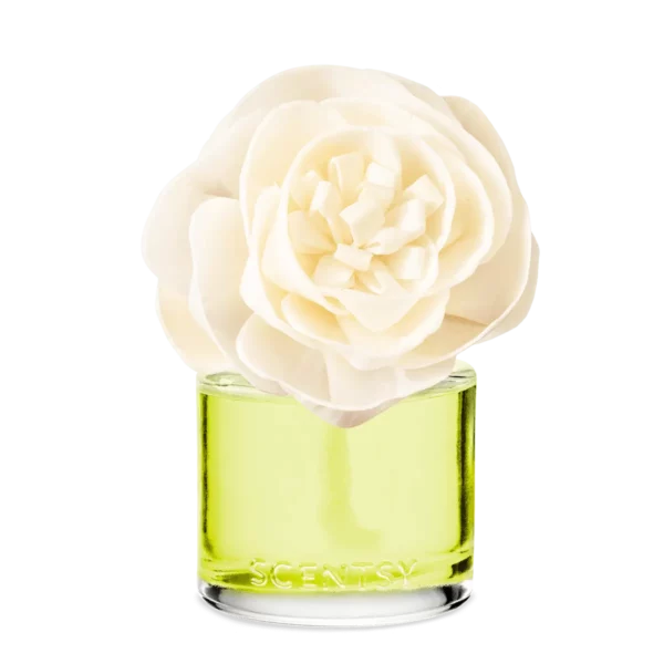 Lemon Lime Fizz Scentsy Buttercup Belle Fragrance Flower
