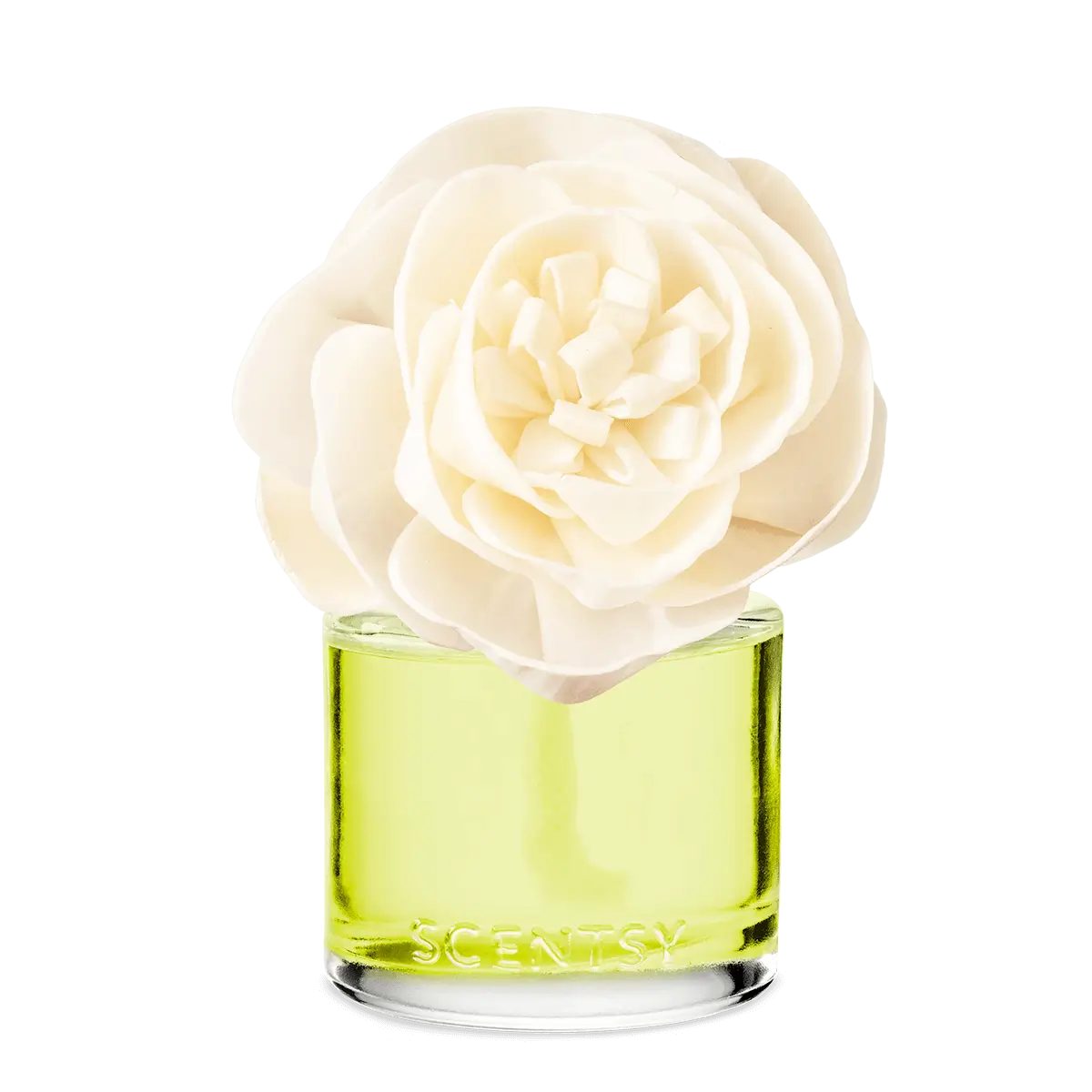 Lemon Lime Fizz Scentsy Buttercup Belle Fragrance Flower
