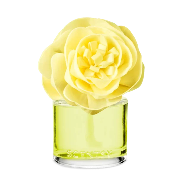 Lemon Lime Fizz Scentsy Buttercup Belle Fragrance Flower