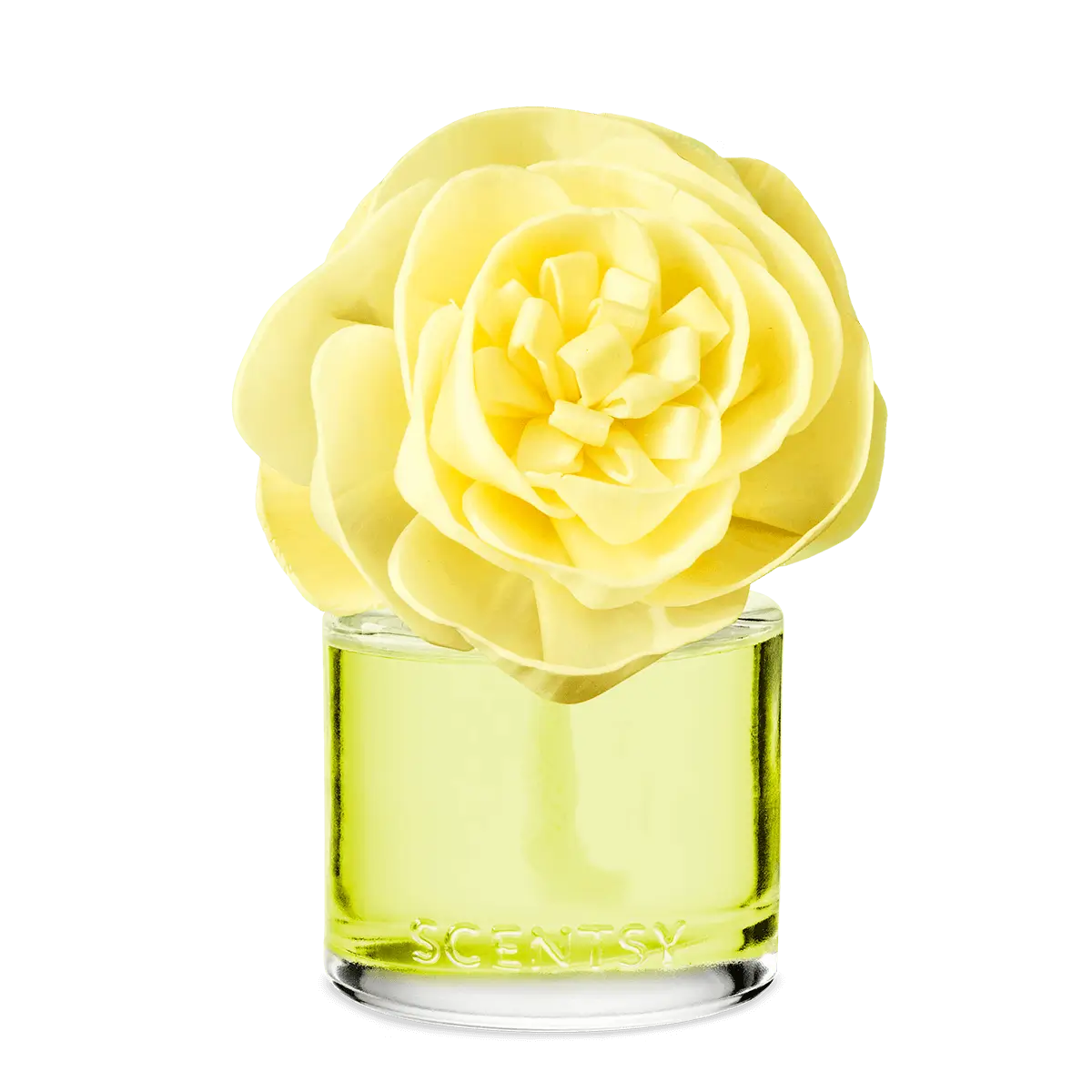 Lemon Lime Fizz Scentsy Buttercup Belle Fragrance Flower