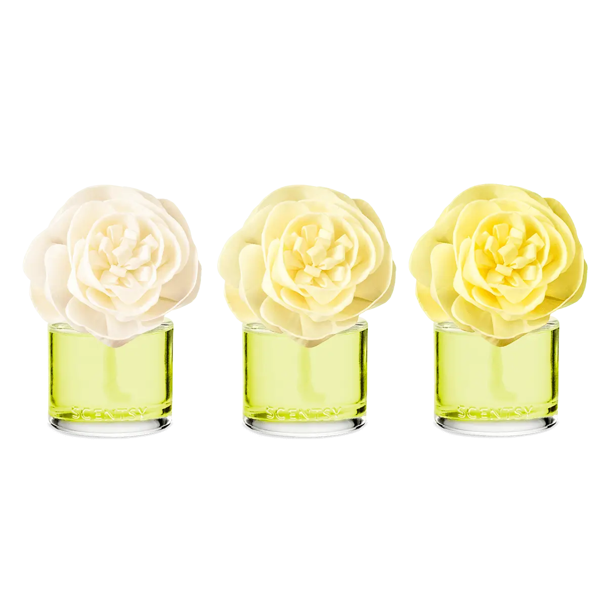 Lemon Lime Fizz Scentsy Buttercup Belle Fragrance Flower