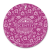 Raspberry Hibiscus Tea Scentsy Scent Circle