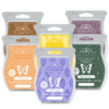 Garden Scentsy Wax Bar Bundle