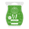 Bamboo Yuzo Scentsy Bar