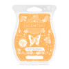 SCENT WaxBar ClementineBlossom ISO R13 FW22 PWS