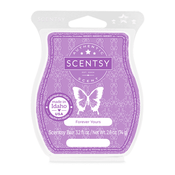 SCENT WaxBar ForeverYours ISO R1 BBMB SS22 PWS