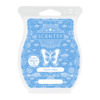 SCENT WaxBar GlacierWater ISO R13 SOTM PWS