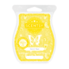 Soakin' Rays Scentsy Bar