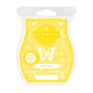 Soakin' Rays Scentsy Bar