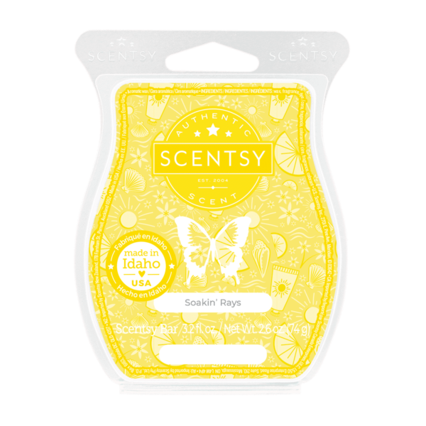 Soakin' Rays Scentsy Bar