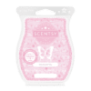 Scentsy Valentine's Day 2023 Wax Bar 3 Pack