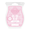 SCENT WaxBar StarburstSky ISO R13 FW22 PWS